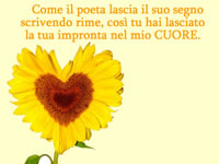 Immagine Amore Margherita