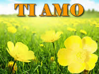 Ti amo